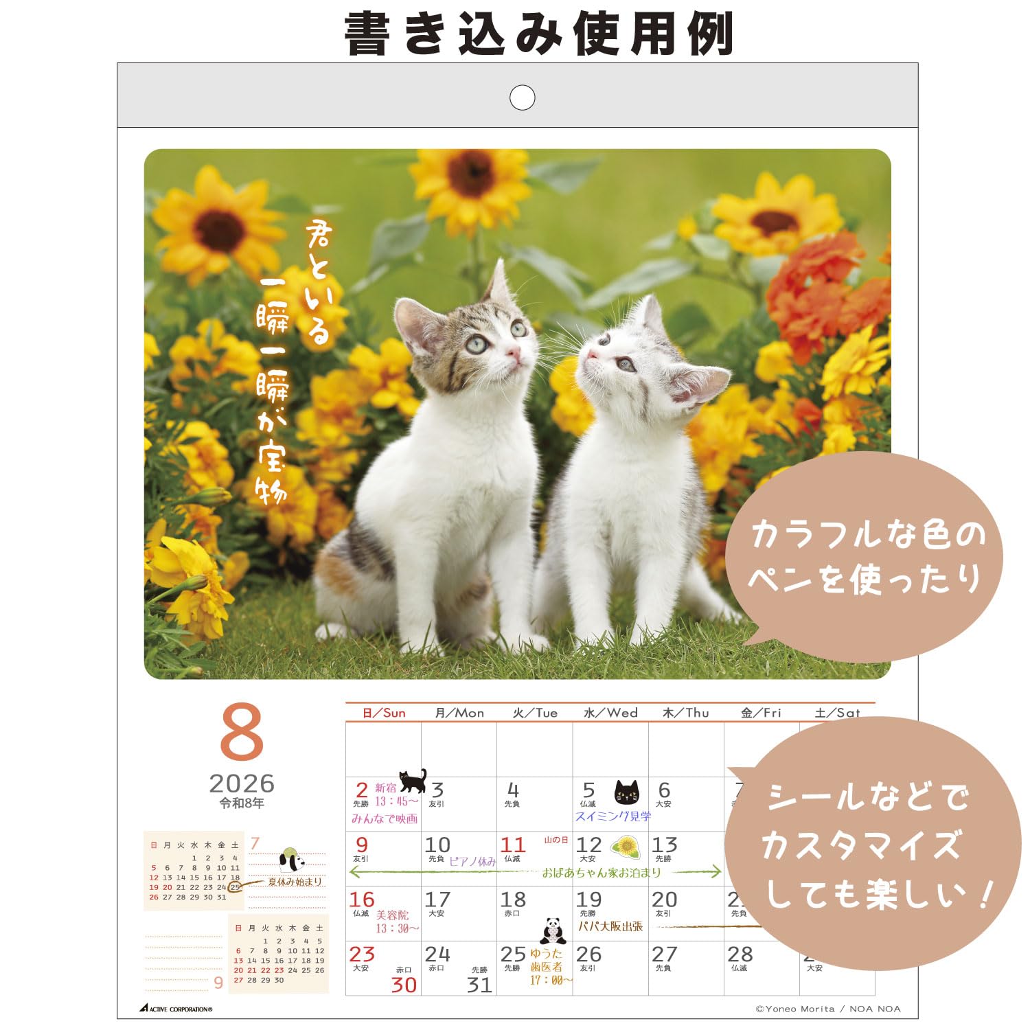 Amazon | アクティブコーポレーション 2026 カレンダー 壁掛け CAT